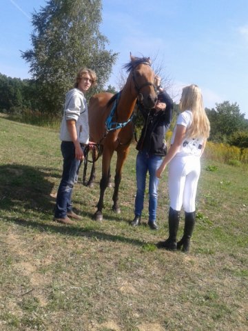 Rajd Minoga 2015